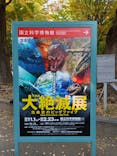特別展「大絶滅展―生命史のビッグファイブ」に投稿された画像（2025/11/16）