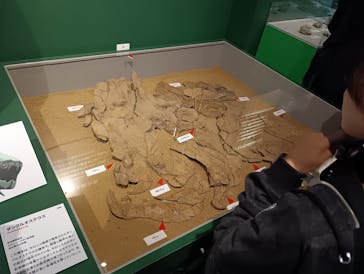 特別展「大絶滅展―生命史のビッグファイブ」に投稿された画像（2025/11/16）