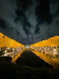 国営昭和記念公園 秋の夜散歩に投稿された画像（2025/11/16）