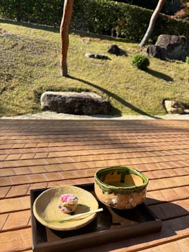 ぎふワールド・ローズガーデンに投稿された画像（2025/11/16）