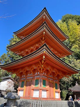 琵琶湖汽船に投稿された画像（2025/11/16）