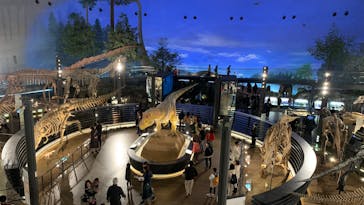 福井県立恐竜博物館に投稿された画像（2025/11/16）