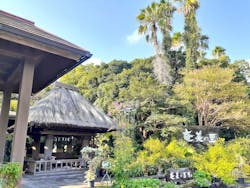 奄美の里に投稿された画像（2025/11/16）