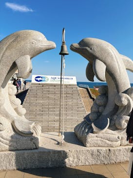 アクアワールド茨城県大洗水族館に投稿された画像（2025/11/16）