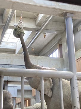 名古屋市東山動植物園に投稿された画像（2025/11/16）