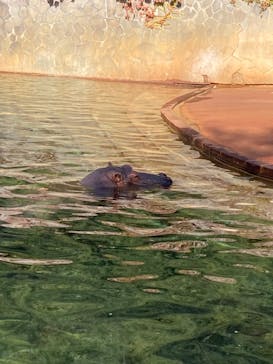 名古屋市東山動植物園に投稿された画像（2025/11/16）