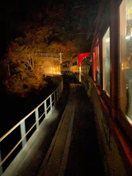 大井川鐵道株式会社に投稿された画像（2025/11/16）