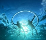 青の洞窟専門店　沖縄ダイビングショップ和に投稿された画像（2025/11/16）