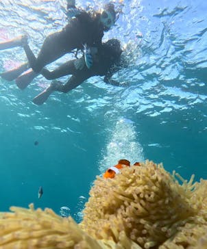 青の洞窟専門店　沖縄ダイビングショップ和に投稿された画像（2025/11/16）