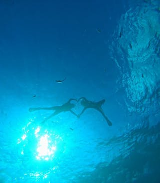 青の洞窟専門店　沖縄ダイビングショップ和に投稿された画像（2025/11/16）