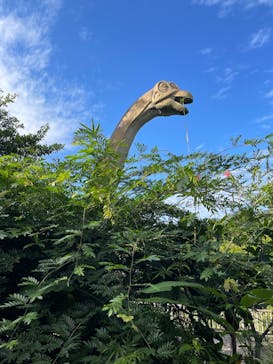 御菓子御殿　名護店　やんばる亜熱帯の森DINO恐竜PARKに投稿された画像（2025/11/16）