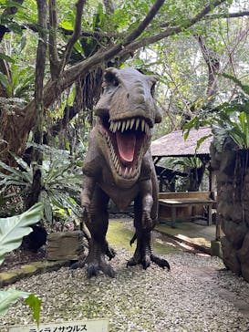 御菓子御殿　名護店　やんばる亜熱帯の森DINO恐竜PARKに投稿された画像（2025/11/16）