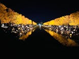 国営昭和記念公園 秋の夜散歩に投稿された画像（2025/11/16）