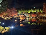 国営昭和記念公園 秋の夜散歩に投稿された画像（2025/11/16）
