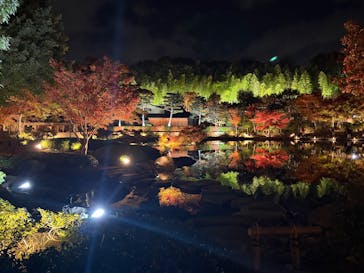 国営昭和記念公園 秋の夜散歩に投稿された画像（2025/11/16）