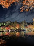 国営昭和記念公園 秋の夜散歩に投稿された画像（2025/11/16）