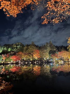 国営昭和記念公園 秋の夜散歩に投稿された画像（2025/11/16）