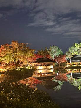 国営昭和記念公園 秋の夜散歩に投稿された画像（2025/11/16）