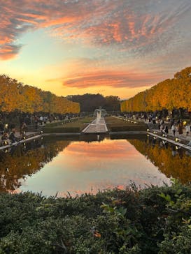 国営昭和記念公園 秋の夜散歩に投稿された画像（2025/11/16）