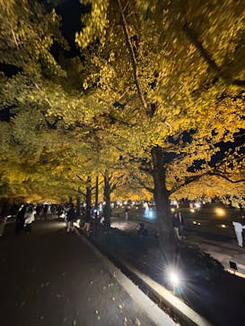 国営昭和記念公園 秋の夜散歩に投稿された画像（2025/11/16）