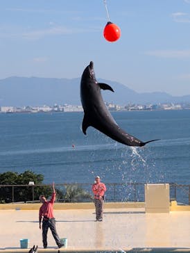 マリンワールド海の中道に投稿された画像（2025/11/16）