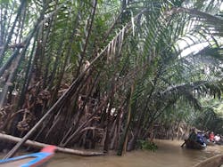 サザンブリーズ株式会社に投稿された画像（2025/11/16）