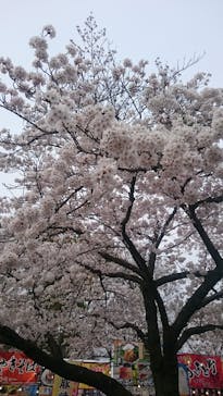 万博記念公園に投稿された画像（2025/11/16）