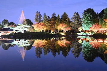 国営昭和記念公園 秋の夜散歩に投稿された画像（2025/11/16）