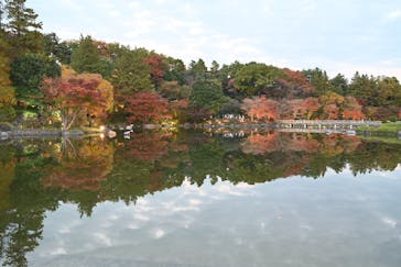 国営昭和記念公園 秋の夜散歩に投稿された画像（2025/11/16）