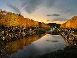 国営昭和記念公園 秋の夜散歩に投稿された画像（2025/11/16）