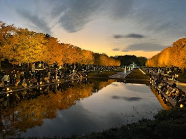 国営昭和記念公園 秋の夜散歩に投稿された画像（2025/11/16）