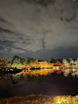 国営昭和記念公園 秋の夜散歩に投稿された画像（2025/11/16）