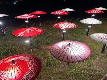 国営昭和記念公園 秋の夜散歩に投稿された画像（2025/11/16）