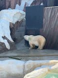 恩賜上野動物園に投稿された画像（2025/11/16）