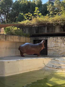 恩賜上野動物園に投稿された画像（2025/11/16）