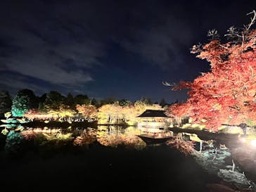 国営昭和記念公園 秋の夜散歩に投稿された画像（2025/11/16）