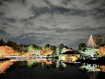 国営昭和記念公園 秋の夜散歩に投稿された画像（2025/11/16）