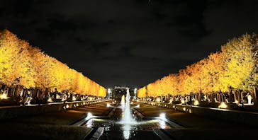 国営昭和記念公園 秋の夜散歩に投稿された画像（2025/11/16）