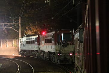 大井川鐵道株式会社に投稿された画像（2025/11/16）