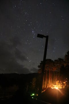 大井川鐵道株式会社に投稿された画像（2025/11/16）