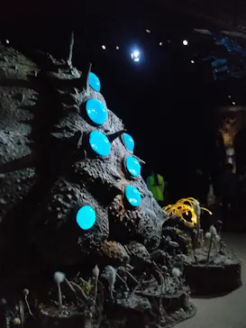 金曜ロードショーとジブリ展（静岡展）に投稿された画像（2025/11/16）