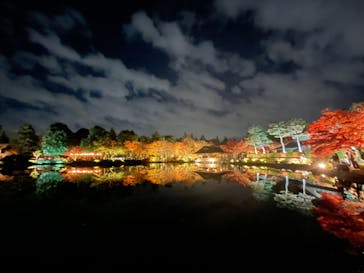 国営昭和記念公園 秋の夜散歩に投稿された画像（2025/11/16）