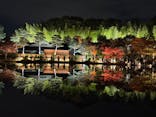 国営昭和記念公園 秋の夜散歩に投稿された画像（2025/11/17）