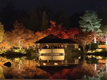 国営昭和記念公園 秋の夜散歩に投稿された画像（2025/11/16）