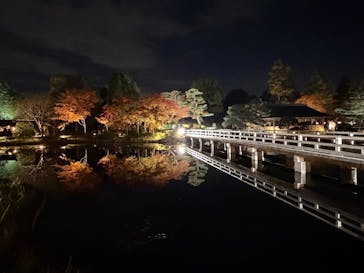 国営昭和記念公園 秋の夜散歩に投稿された画像（2025/11/16）