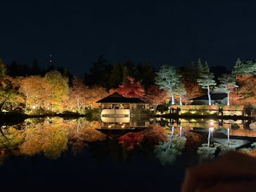 国営昭和記念公園 秋の夜散歩に投稿された画像（2025/11/16）