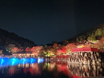 勝尾寺に投稿された画像（2025/11/16）