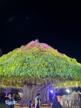 東京メガイルミに投稿された画像（2025/11/16）