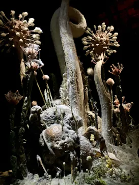 金曜ロードショーとジブリ展（静岡展）に投稿された画像（2025/11/16）