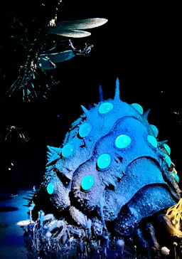 金曜ロードショーとジブリ展（静岡展）に投稿された画像（2025/11/16）